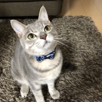 るる