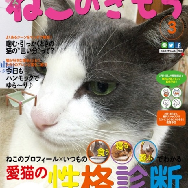 ロクスケよいのカバー写真