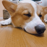 小鉄