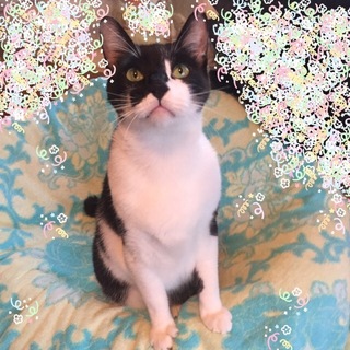 マスクをしている様！とっても穏やかな男の子