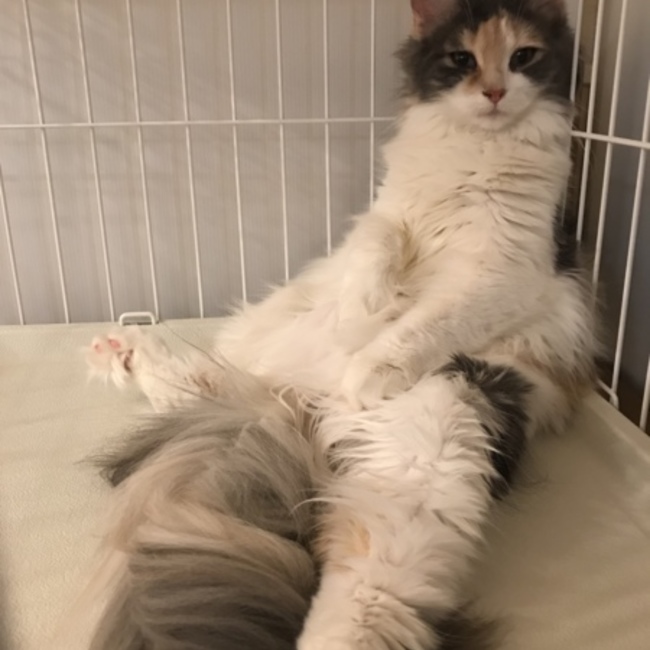 キュオのカバー写真