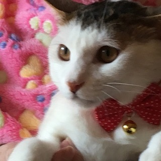 5/5水道橋★ター坊くん★前髪ぱっつん