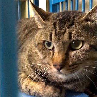 期限超過！静かで落ち着いた印象の男の子