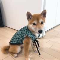 エル