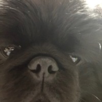 黒丸
