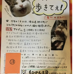 拡散希望 アナゴちゃんに義足の支援を！