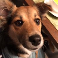 ミイナ