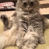 リラックスしてきました(^-^)