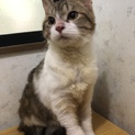 男の子 推定生後6ヶ月