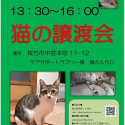 猫の譲渡会