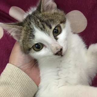 ありがとうございました♪