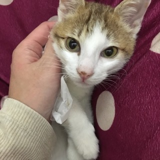 ありがとうございました♪