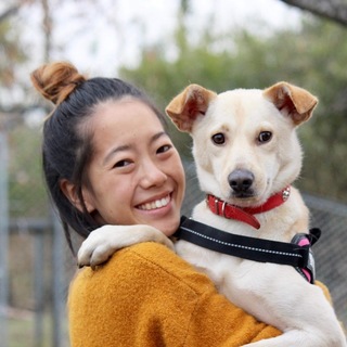 人馴れ◎他の犬◎全部◎お利口さん❤️