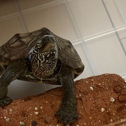 冬眠から目覚めたよ。