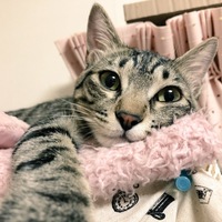 リン