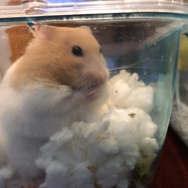 ここはお気に入り