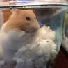 ここはお気に入り
