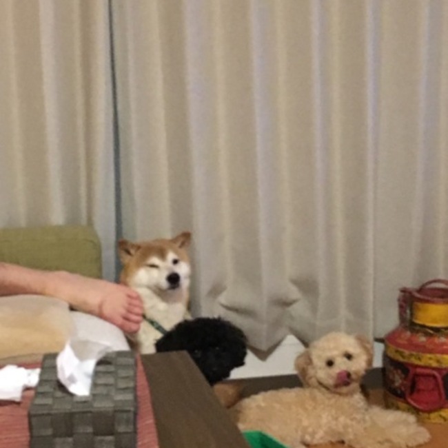 ちろまりのカバー写真