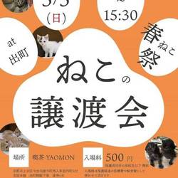 猫の譲渡会＠出町商店街 サムネイル1