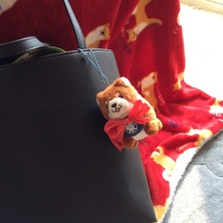 「赤いリボンの日❤(ӦｖӦ｡)」サムネイル2