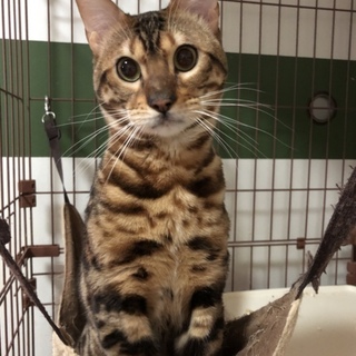 素敵な家族に恵まれますように