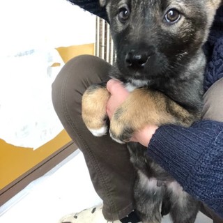 ３ヶ月の甘えん坊男の子