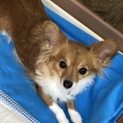 素敵なご縁がありました