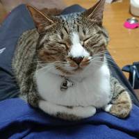 さと