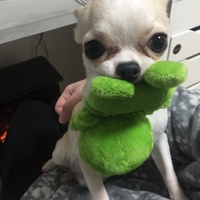 クロム