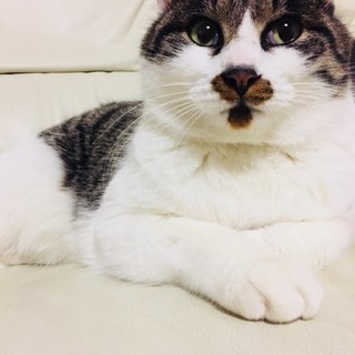 ありがとうございました！