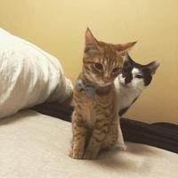 鯛ちゃん