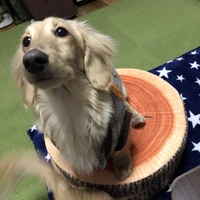はち