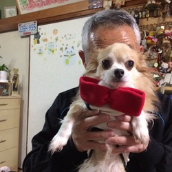 「▽･w･▽赤いりぼん=^_^=　」サムネイル2