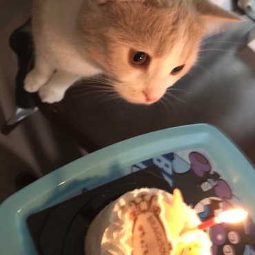 お誕生日おめでとう｡:°ஐ..♡*