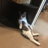 の写真