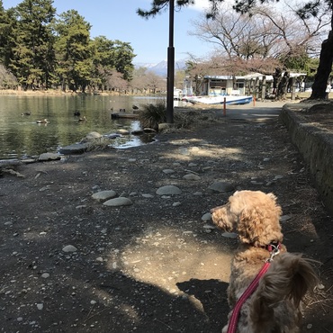 公園デビューです♬︎♡