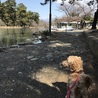 公園デビューです♬︎♡
