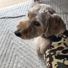 美容室デビューです♬︎♡