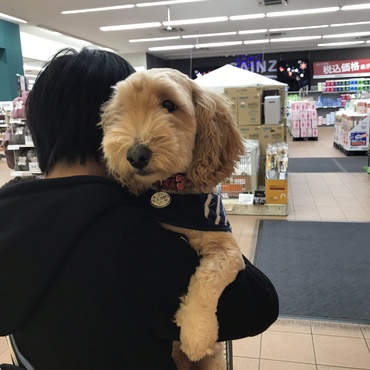 犬連れOKのお店でお買い物です