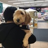 犬連れOKのお店でお買い物です
