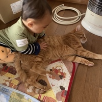 虎徹