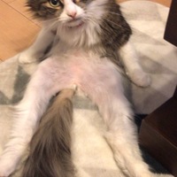 ルナ