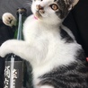 の写真