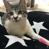 メイ