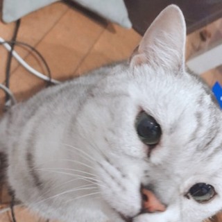 至急お願いします‼︎