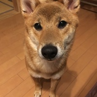 エイト