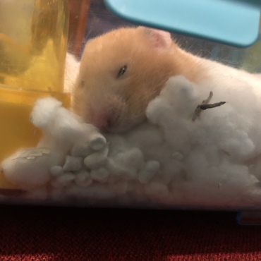 角がお気に入り。