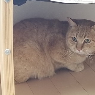 トライアル中です