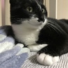 の写真