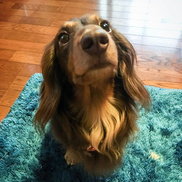 日々、年々、愛しさも増してきます